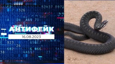 АнтиФейк. Выпуск от 16.08.2023