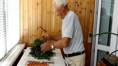 Человек и закон. 12.07.2012