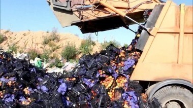 Человек и закон. Выпуск от 04.09.2015