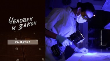 Человек и закон. Выпуск от 24.11.2023