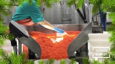 Человек и закон. Выпуск от 27.12.2019