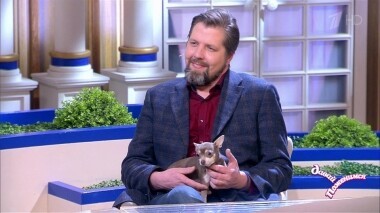 Ветеринар по призванию. Давай поженимся! Выпуск от 12.03.2019