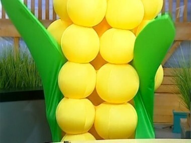 Выбор Кукурузы. Давай поженимся! Выпуск от 31.10.2011