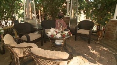 Терраса в кустах жасмина. Фазенда. Выпуск от 19.10.2014
