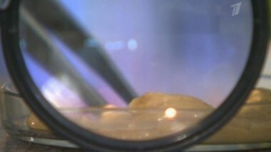 Горчица «Русская». Контрольная закупка. Выпуск от 25.06.2013