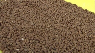 Крупа гречневой ядрицы. Контрольная закупка. Выпуск от 21.10.2015