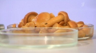 Маринованные опята. Контрольная закупка. Выпуск от 15.07.2013