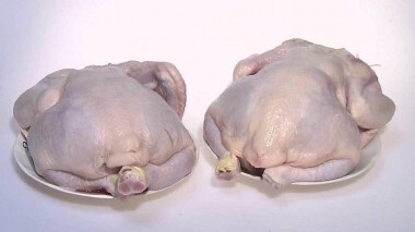 Охлажденная тушка курицы. Контрольная закупка. Выпуск от 30.10.2015