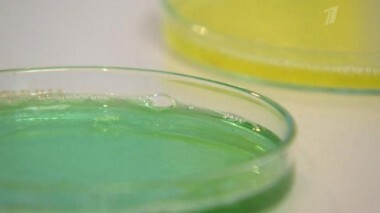 Средства для мытья посуды с цитрусовым ароматом. Контрольная закупка. Выпуск от 20.11.2013