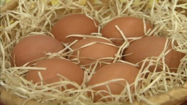 Столовые яйца 1 категории. Контрольная закупка. Выпуск от 17.12.2013