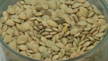 Светло-зеленая чечевица. Контрольная закупка. Выпуск от 27.03.2014