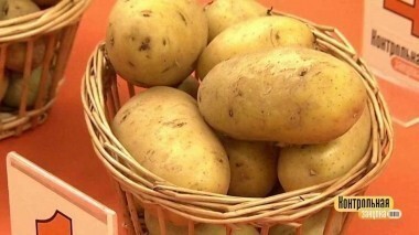 Свежий картофель. Контрольная закупка. Выпуск от 28.09.2017