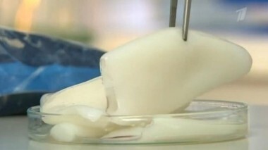 Замороженные кальмары. Контрольная закупка. Выпуск от 06.03.2014