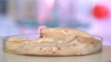 Замороженные тушки кальмаров. Контрольная закупка. Выпуск от 31.10.2012