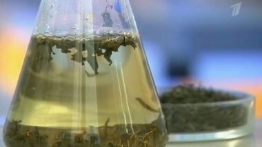 Зеленый листовой чай. Контрольная закупка. Выпуск от 18.04.2014