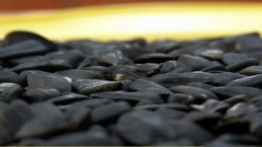 Жареные семечки подсолнечника. Контрольная закупка. Выпуск от 18.05.2015