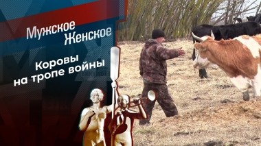 Атака скота. Мужское / Женское. Выпуск от 06.04.2023
