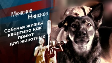 Изгой и голуби. Мужское / Женское. Выпуск от 30.03.2023