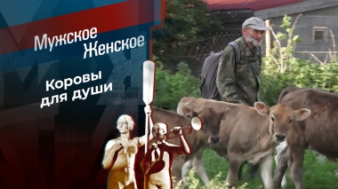 Пастух своих коров. Мужское / Женское. Выпуск от 14.10.2025