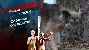 Псарня в Малиновке. Мужское / Женское. Выпуск от 10.11.2023