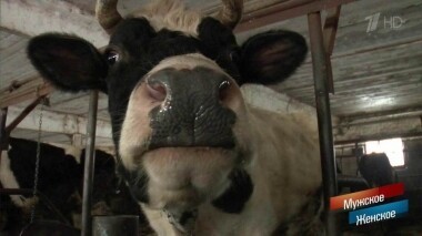 Скот, да не тот. Мужское / Женское. Выпуск от 27.03.2019