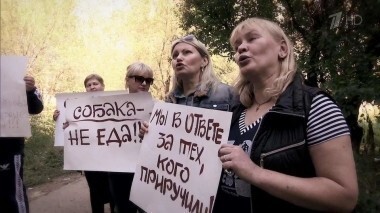 Собака — друг человека?! Мужское / Женское. Выпуск от 31.10.2016