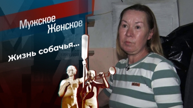 Собаки как дети, а дети как собаки. Мужское / Женское. Выпуск от 15.10.2025