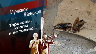 Тараканий вопрос. Мужское / Женское. Выпуск от 07.02.2024