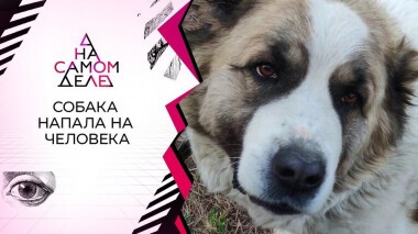 80-килограммовый алабай загрыз женщину на глазах ее сына. На самом деле. Выпуск от 07.07.2020