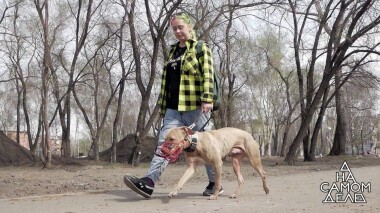 Спустить собак: очная ставка обидчика с мужем жертвы. На самом деле. Выпуск от 20.05.2020