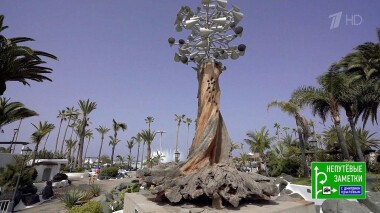 Алтай и Тенерифе. Непутевые заметки. Выпуск от 08.11.2020