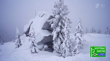 Амазонка. Кемеровская область. Непутевые заметки. Выпуск от 12.12.2021
