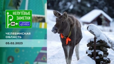 Челябинская область. Непутевые заметки. Выпуск от 05.02.2023