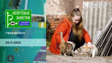 Гвардейск. Непутевые заметки. Выпуск от 20.11.2022