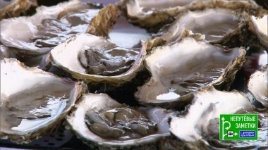 Испания: дельта реки Эбро. Непутевые заметки. Выпуск от 02.12.2018