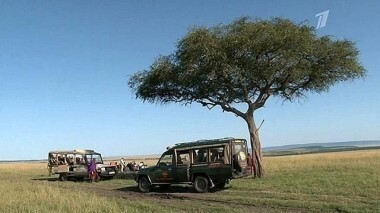 Кения — далекая и прекрасная. Непутевые заметки. Выпуск от 29.03.2015