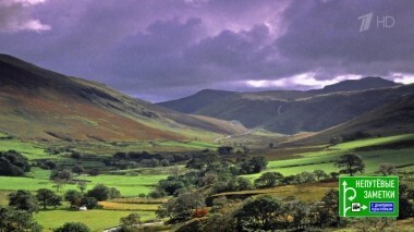 Непутевые заметки. Выпуск от 02.12.2018