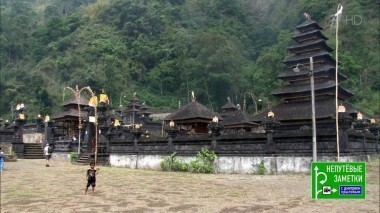 Непутевые заметки. Выпуск от 09.12.2018