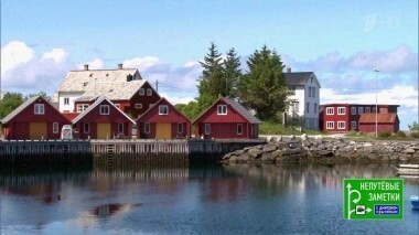 Непутевые заметки. Выпуск от 10.02.2019