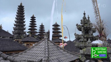 Непутевые заметки. Выпуск от 10.10.2021