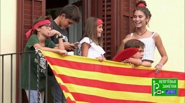 Непутевые заметки. Выпуск от 17.02.2019