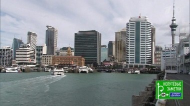 Непутевые заметки. Выпуск от 20.01.2019