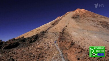 Непутевые заметки. Выпуск от 22.08.2021