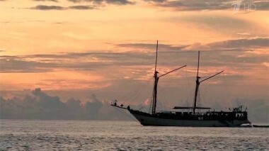 Продолжение плавания вокруг острова Папуа. Продолжение. Непутевые заметки. Выпуск от 14.12.2014