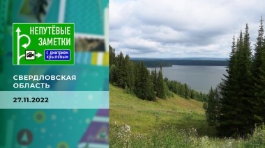 Свердловская область. Непутевые заметки. Выпуск от 27.11.2022