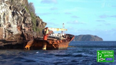 Тунис и завершение круиза по Карибам. Непутевые заметки. Выпуск от 31.05.2020