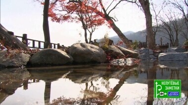 Южная Корея и продолжение путешествия в Антарктиду. Непутевые заметки. Выпуск от 10.03.2019