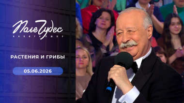 Поле чудес. Выпуск от 05.06.2026