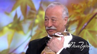 Поле чудес. Выпуск от 30.07.2021