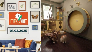 ПроУют. Выпуск от 01.02.2025